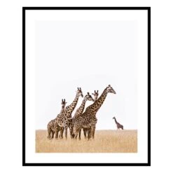 4MURS-Tableau-ZARAFA