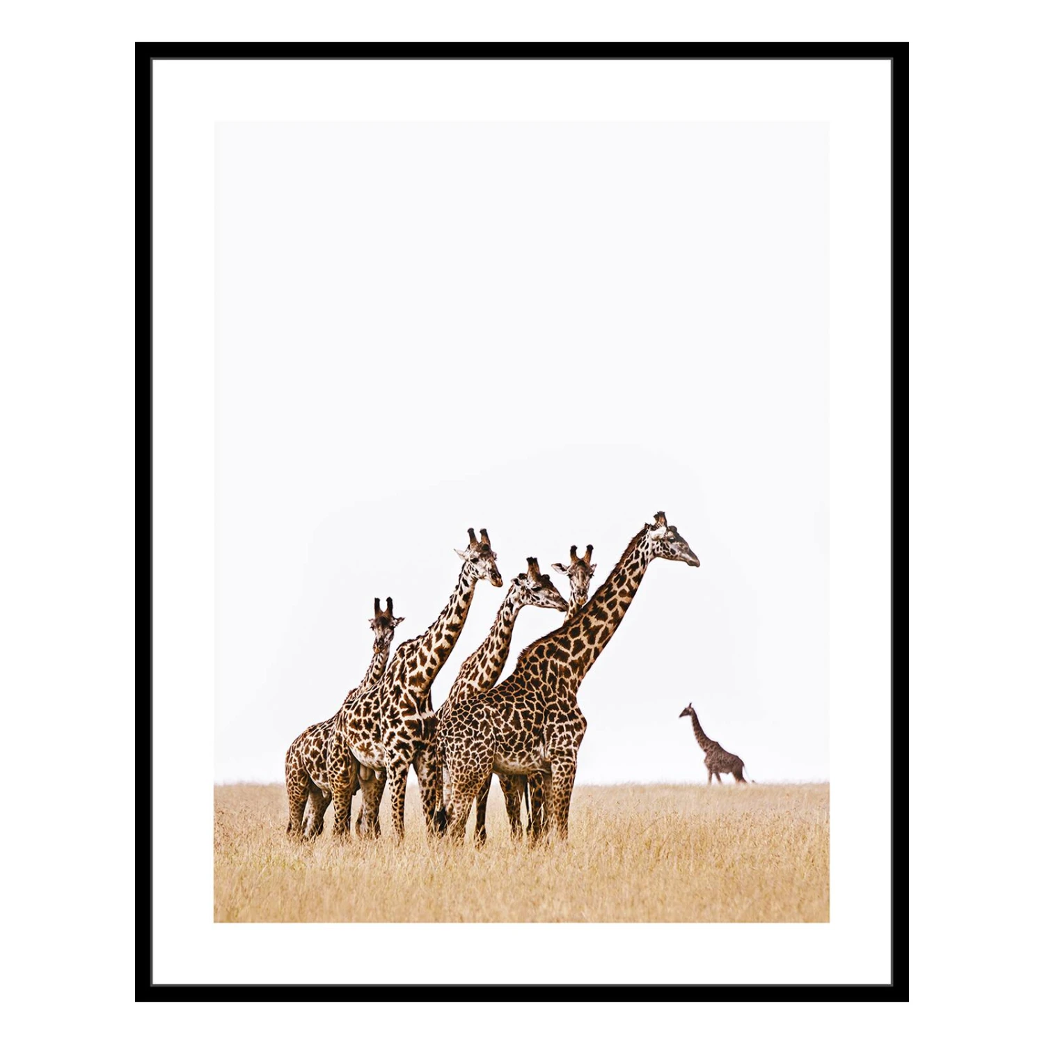 4MURS-Tableau-ZARAFA 3 4MURS-Tableau-ZARAFA