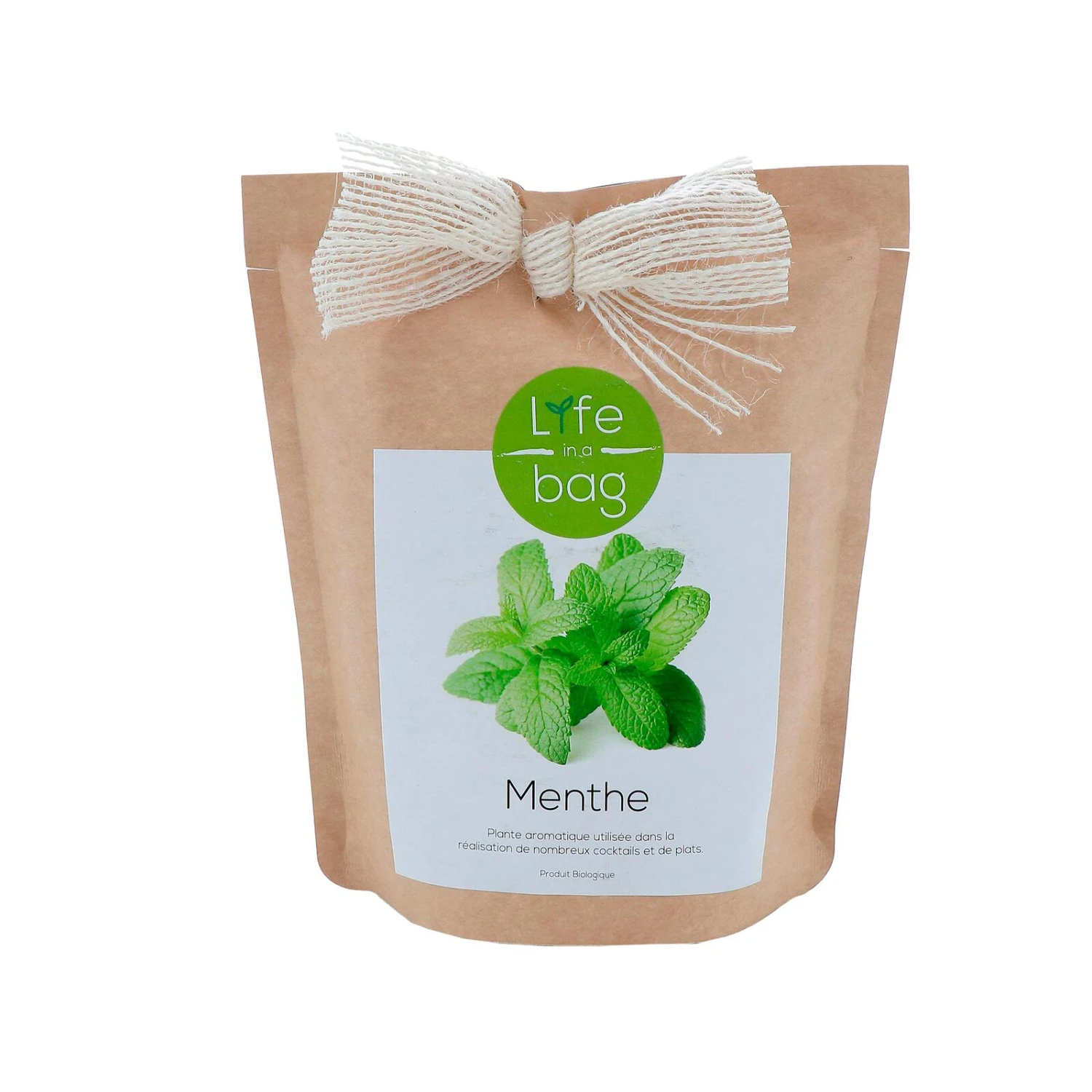 LIFE IN A BAG-Plante-MENTHE 3 LIFE IN A BAG-Plante-MENTHE
