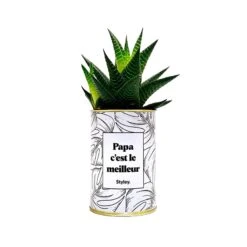 STYLEY-Plante-PAPA C'EST LE MEILLEUR