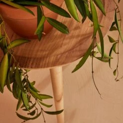 Table D'appoint-JAMY 7 Table D'appoint-JAMY -Intérieure Décoration Magasin 1332565 table d appoint jamy coloris bois