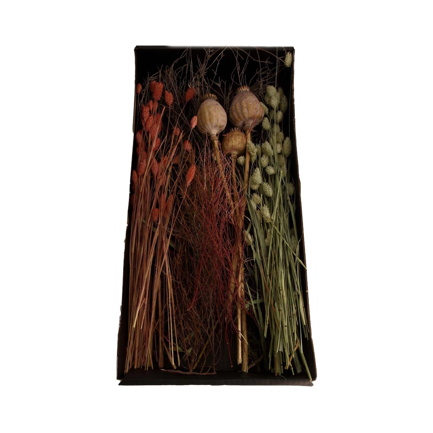 Fleurs Séchées-FLEURS SÉCHÉES ELINA 3 Fleurs Séchées-FLEURS SÉCHÉES ELINA