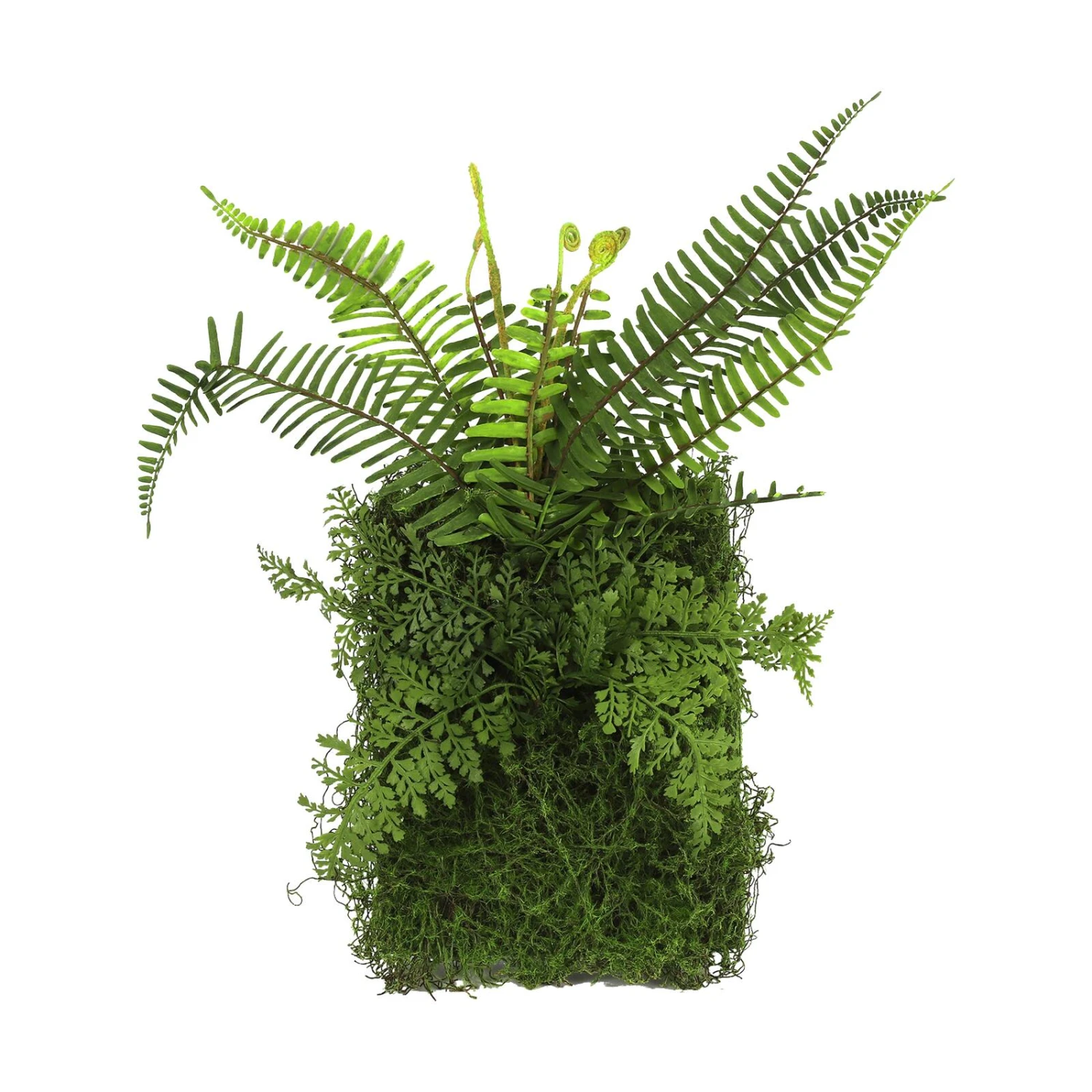 Déco Murale-MAÏTA 3 Déco Murale-MAÏTA