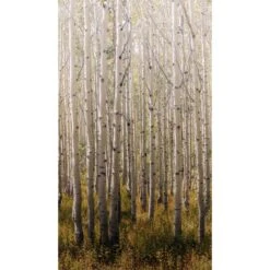 Papier Peint Panoramique L-BIRCH TREE