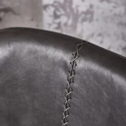 ZIJLSTRA-Chaise-ZIGGY -Intérieure Décoration Magasin 689916 chaise ziggy coloris noir